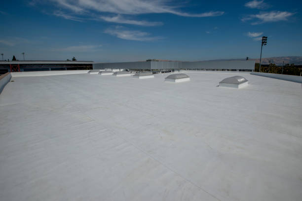 Best Metal Roofing Installation  in New Sharon, IA